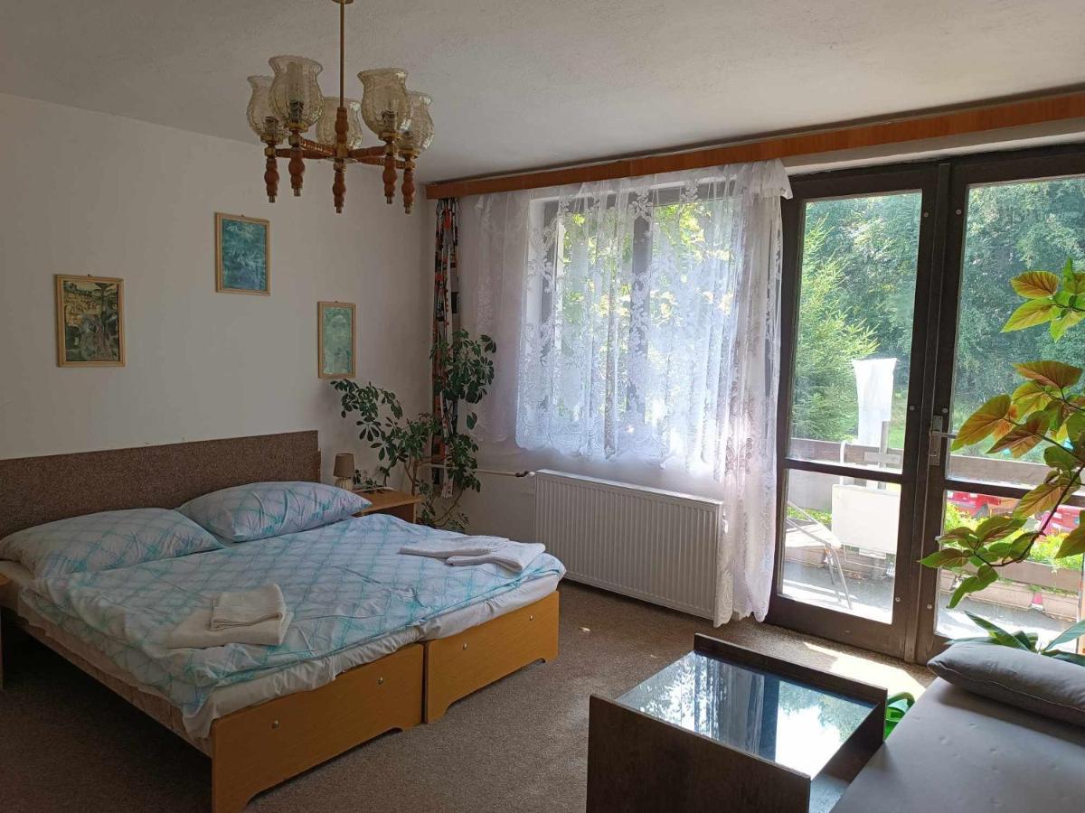 Pension U Stasaku Jetřichovice Extérieur photo